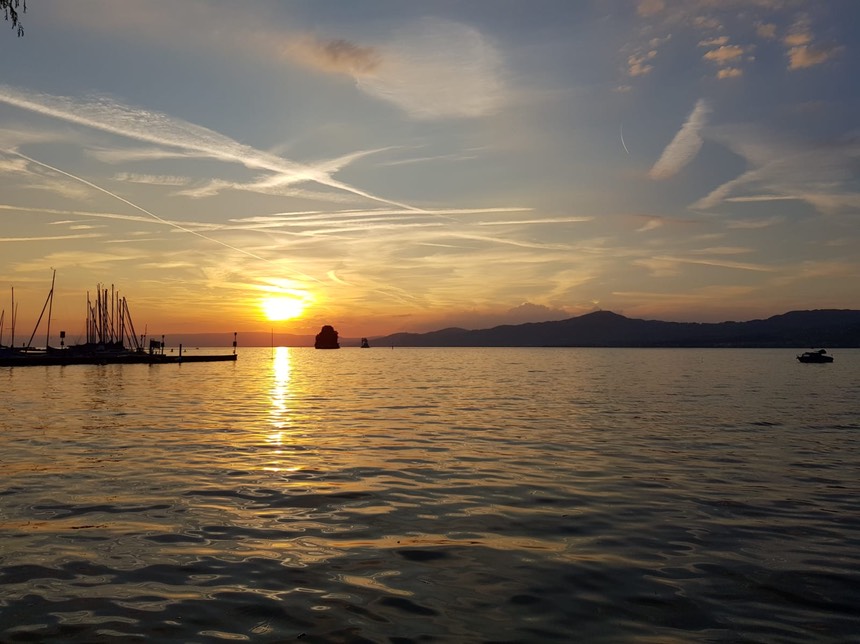 253e0a80-9586-40ed-9d3a-dddeace25260 2