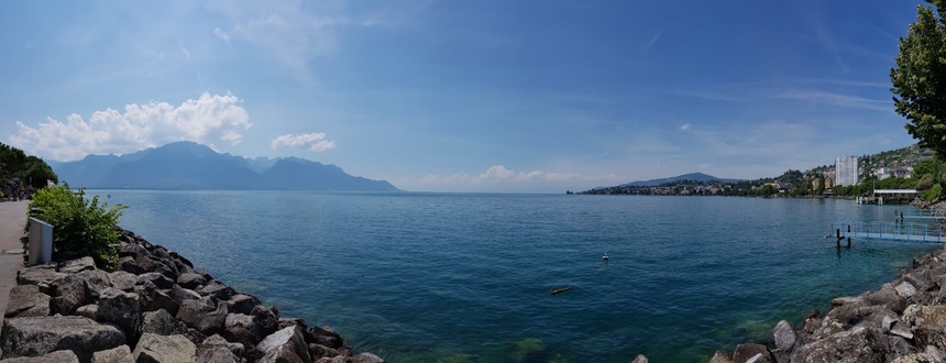 9c428816-8047-49cc-9d83-34eaaeaecebd